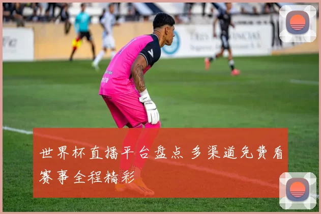世界杯直播平台盘点 多渠道免费看赛事全程精彩
