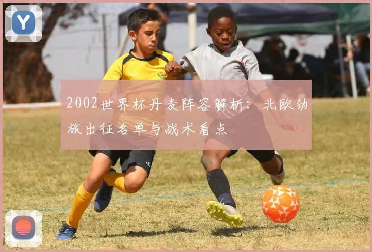 2002世界杯丹麦阵容解析：北欧劲旅出征名单与战术看点