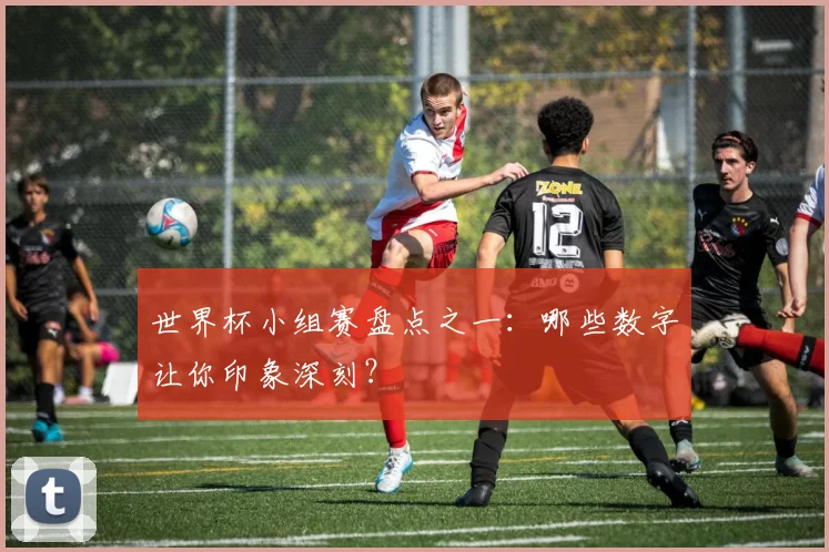 世界杯小组赛盘点之一：哪些数字让你印象深刻？
