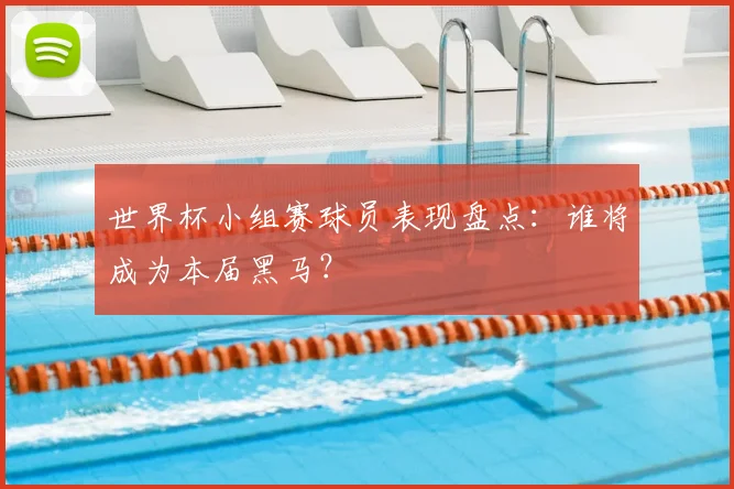 世界杯小组赛球员表现盘点:谁将成为本届黑马?