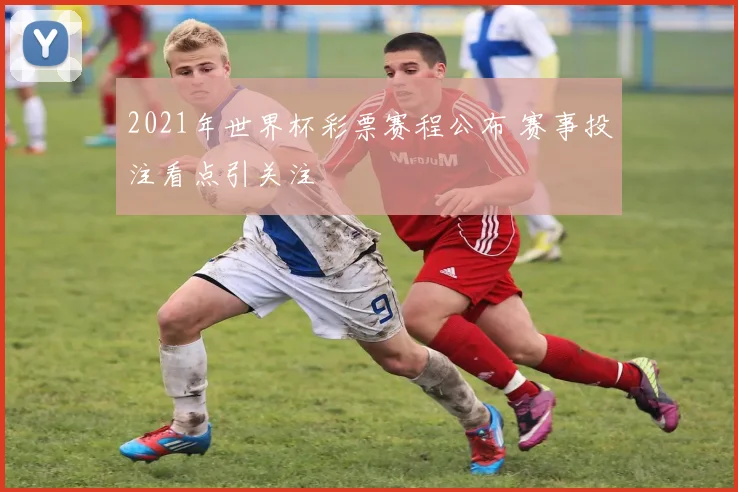 2021年世界杯彩票赛程公布 赛事投注看点引关注
