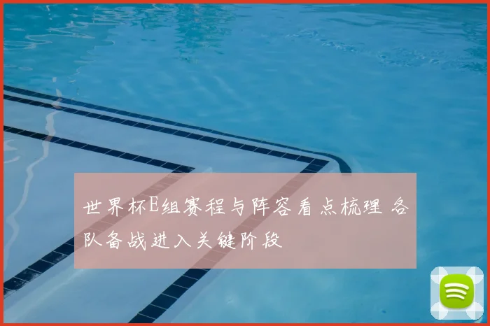 世界杯E组赛程与阵容看点梳理 各队备战进入关键阶段