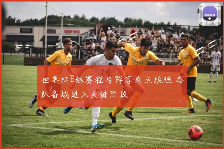 世界杯E组赛程与阵容看点梳理 各队备战进入关键阶段
